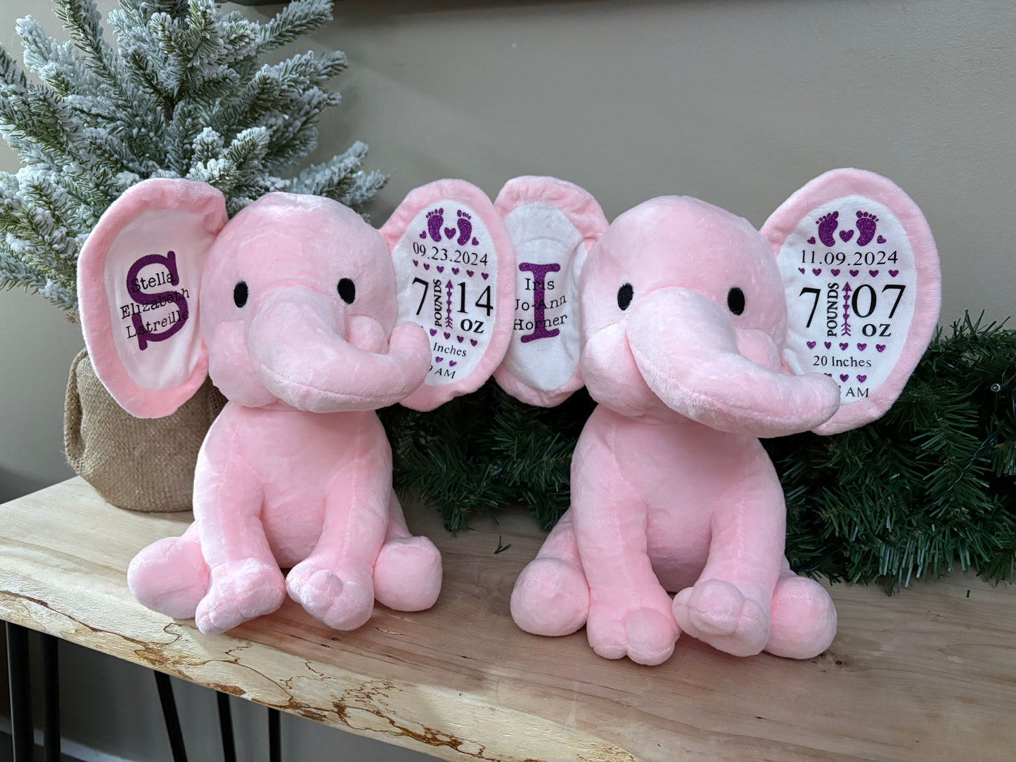 Birth Stat Elephants