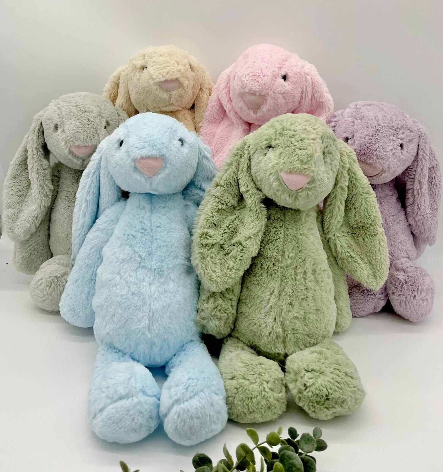 Personalized Bunny