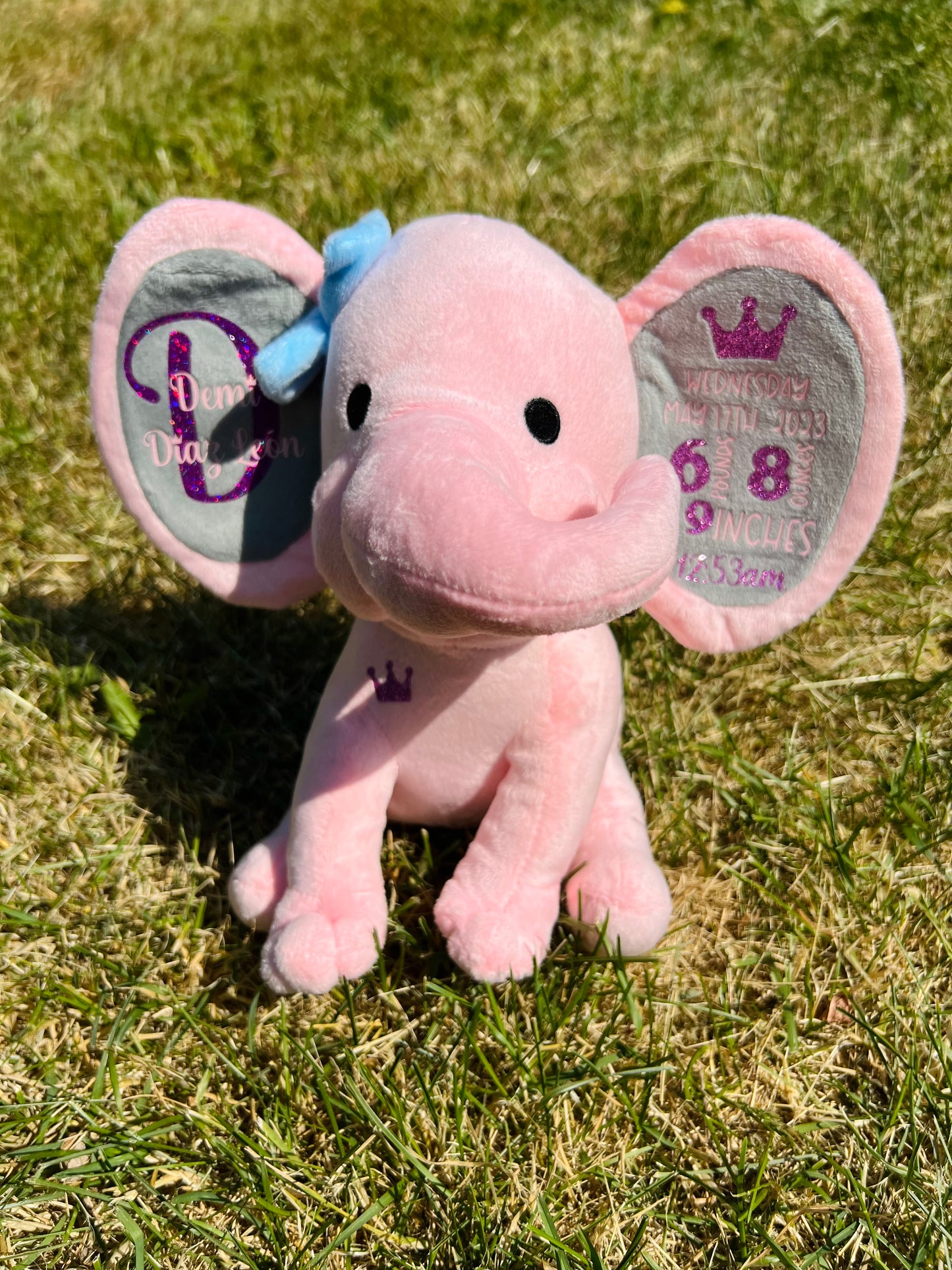 Birth Stat Elephants