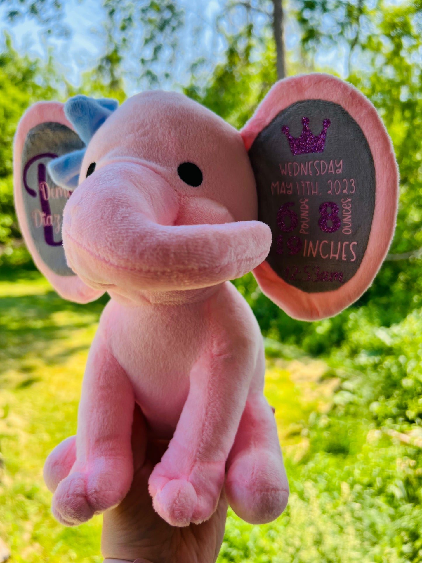 Birth Stat Elephants