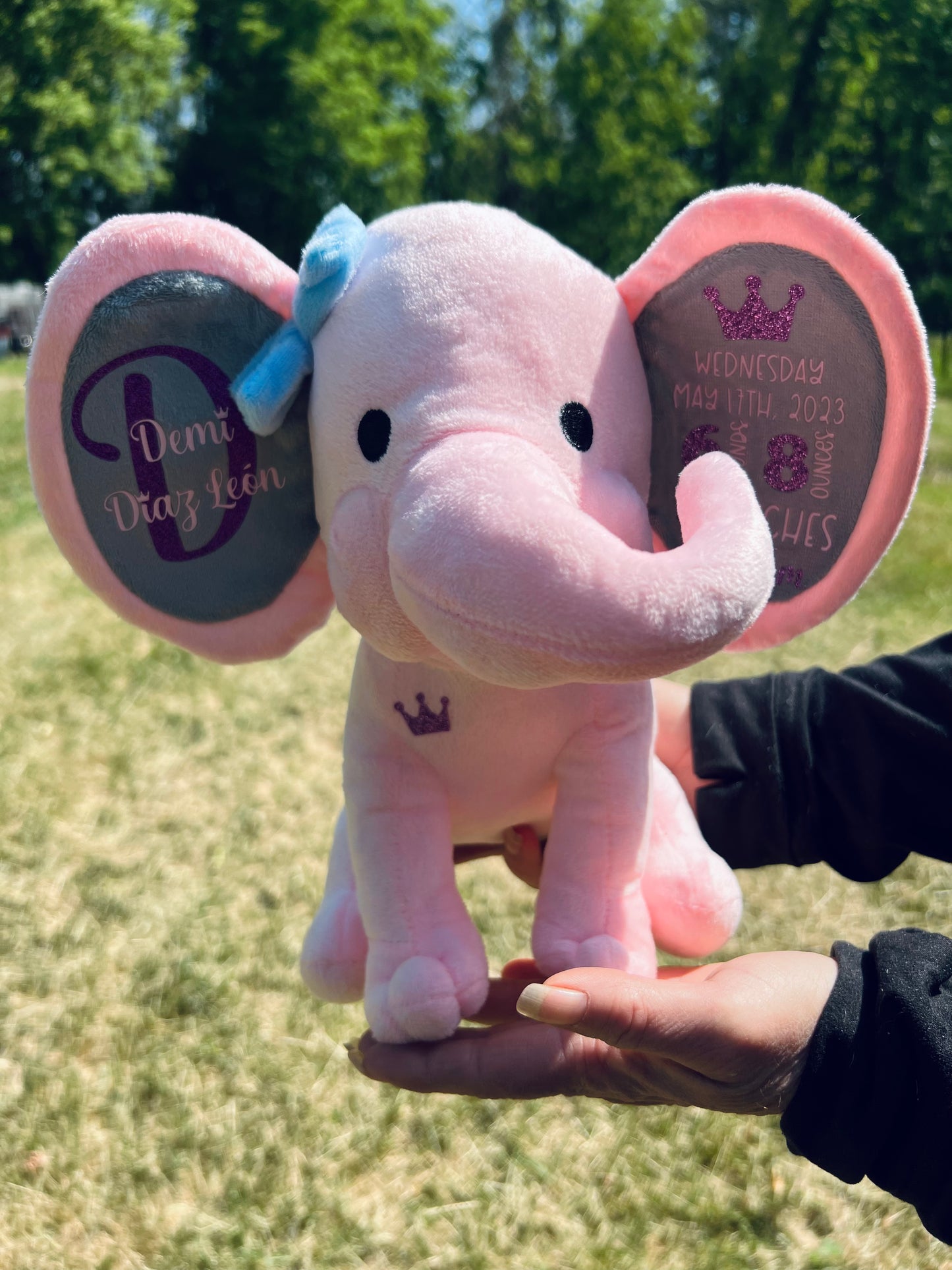 Birth Stat Elephants